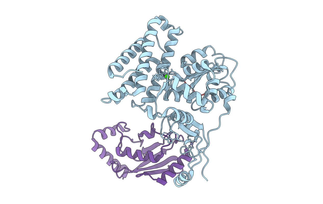 4A4B image
