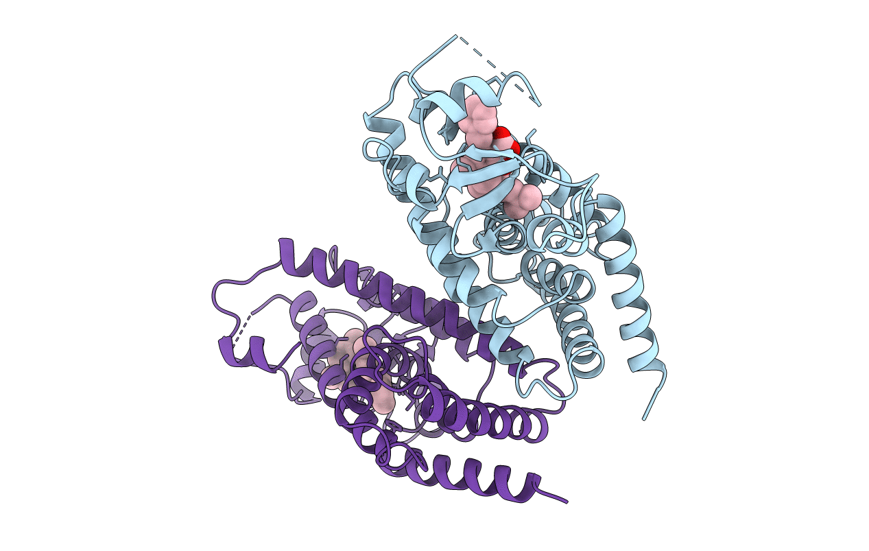 4A4W image