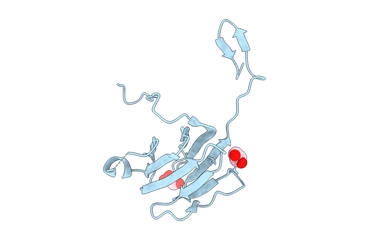4A4Y image