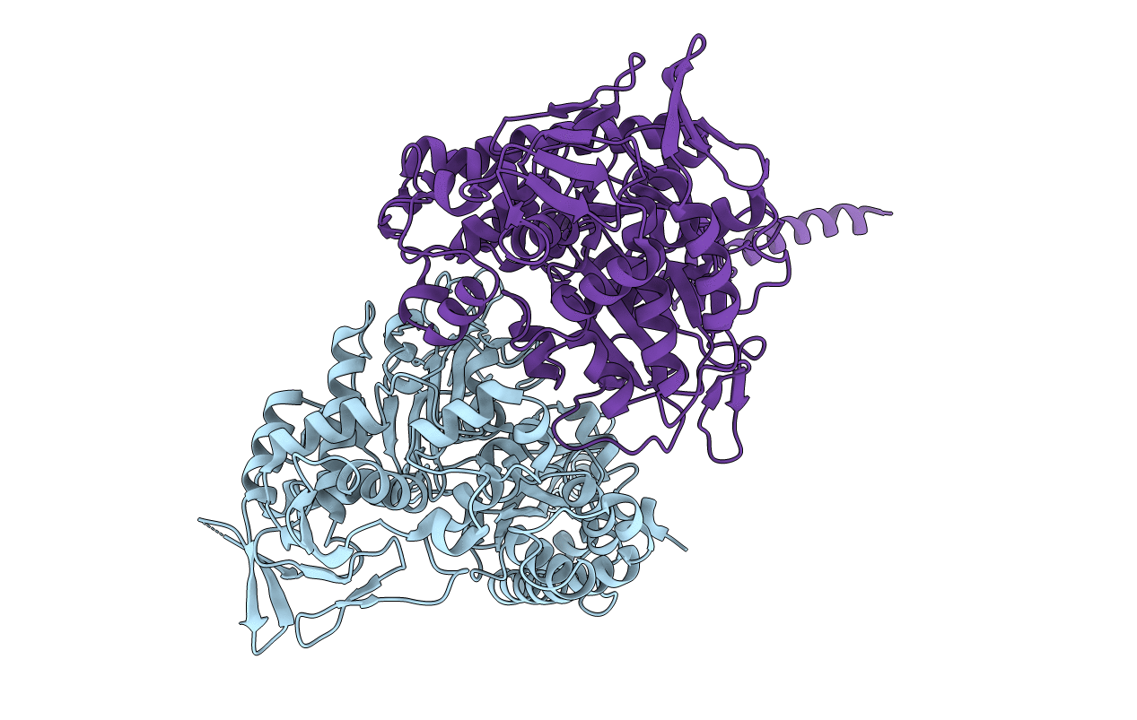 4A5B image
