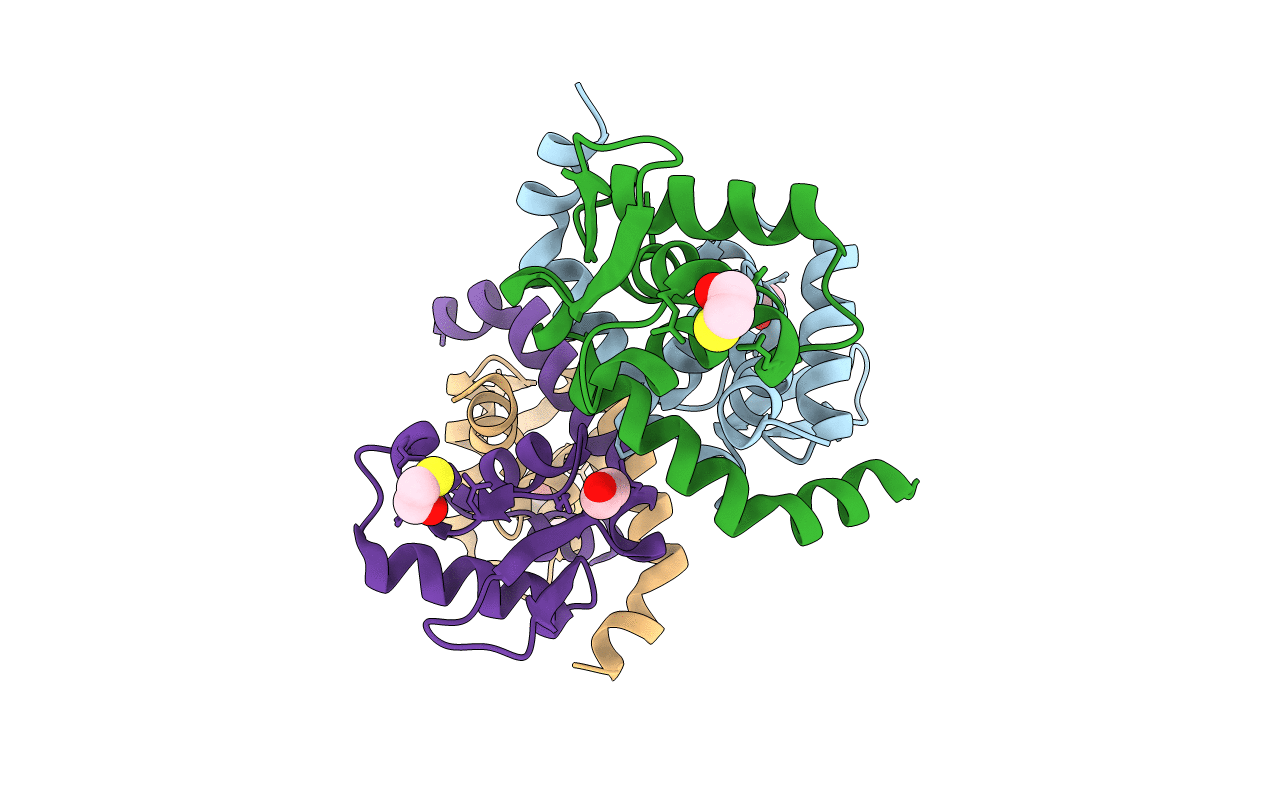 4A5N image