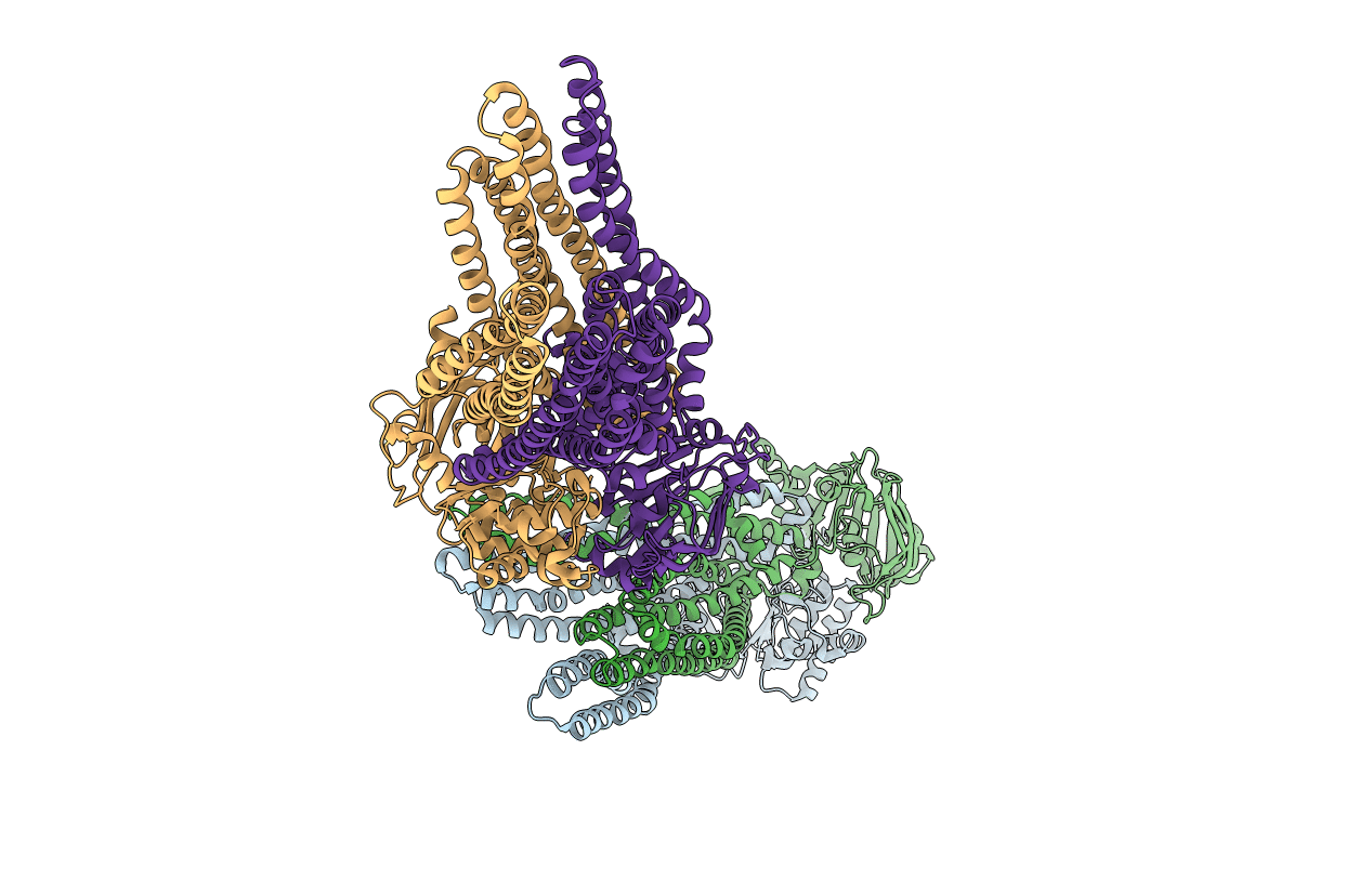 4A82 image