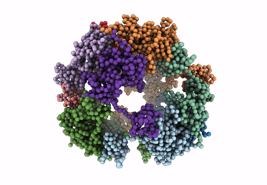 4A8C image