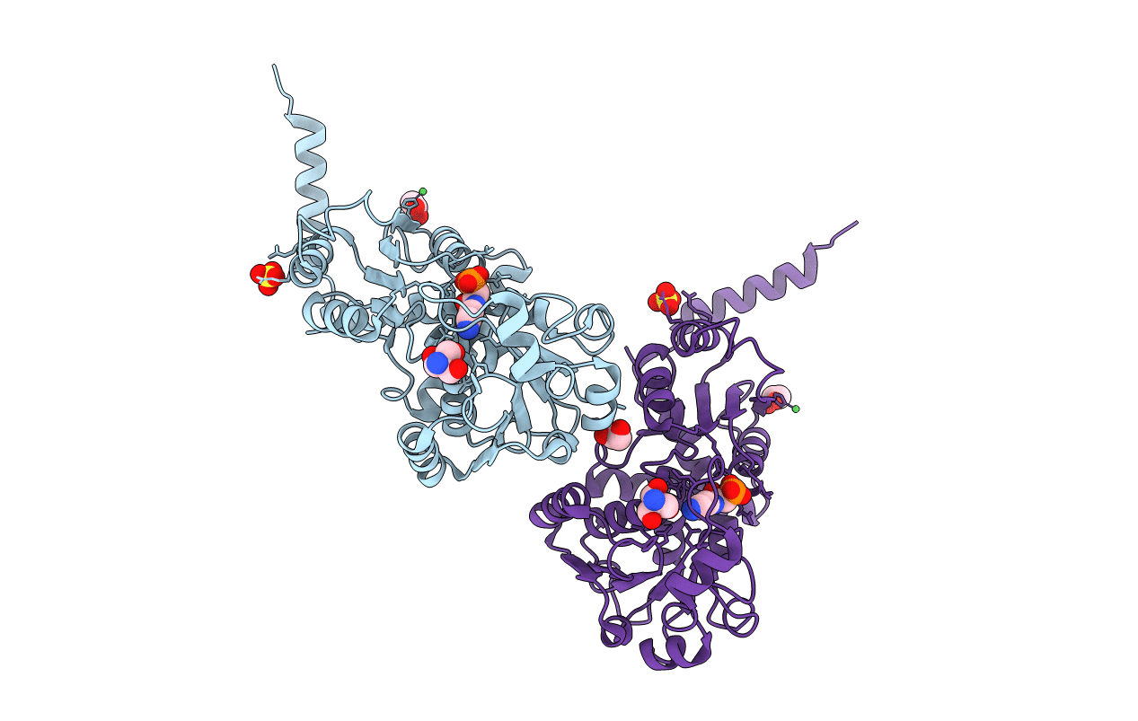 4A8H image