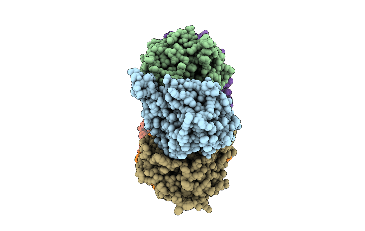 4A8J image