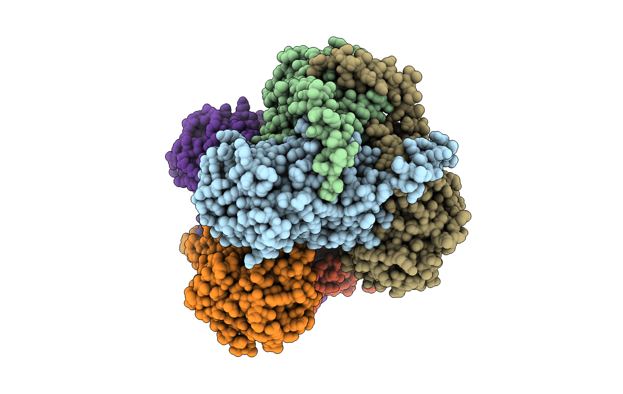 4A8P image