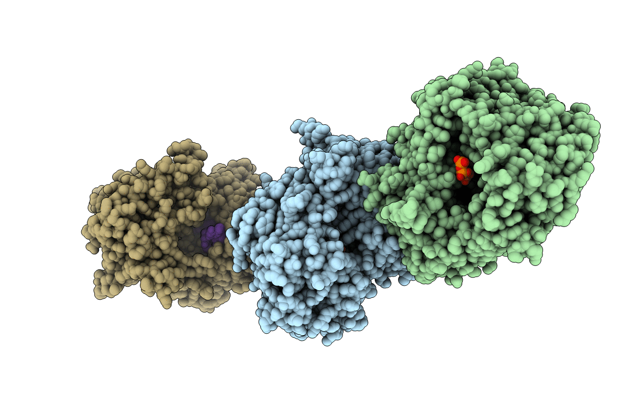 4A8W image