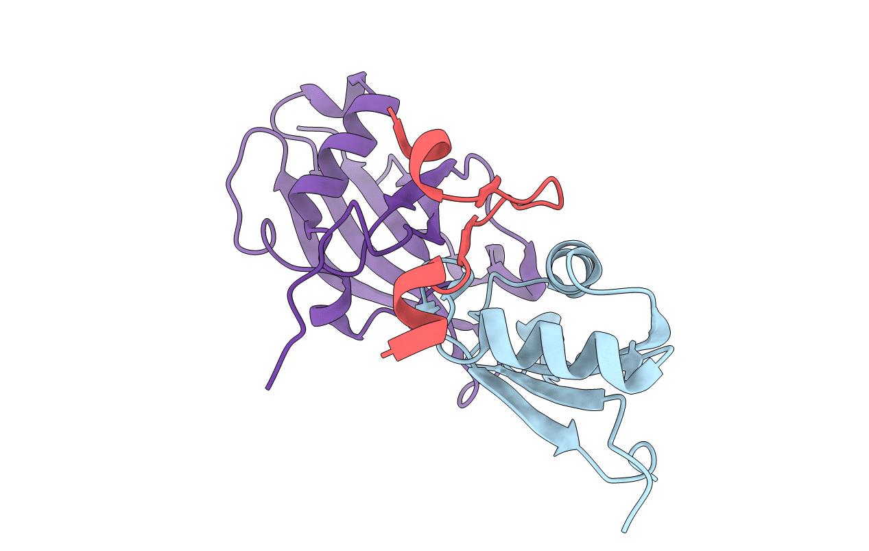4A8X image