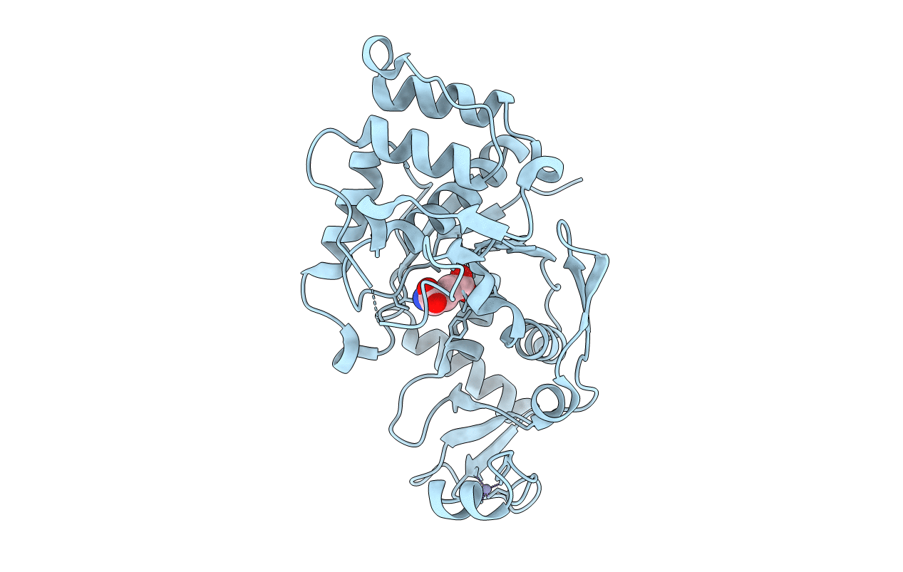 4A91 image