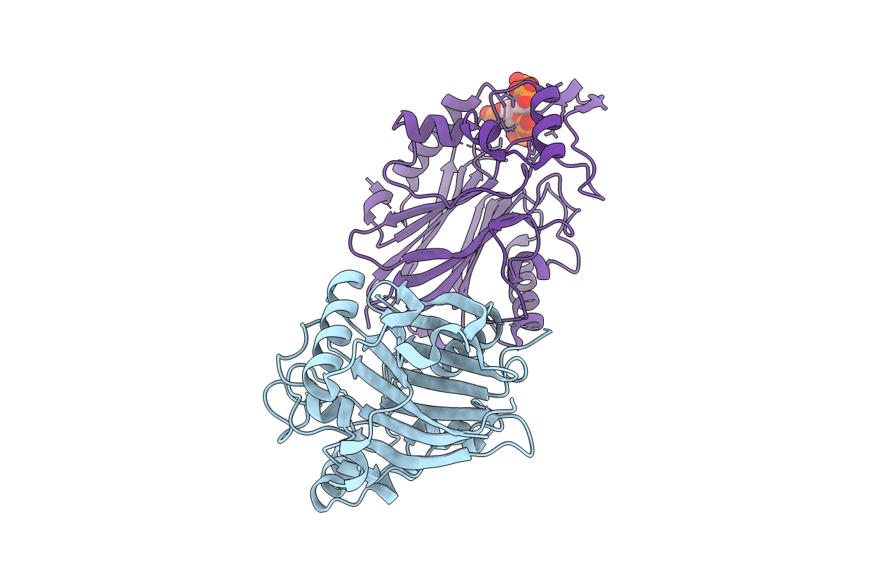 4A9C image