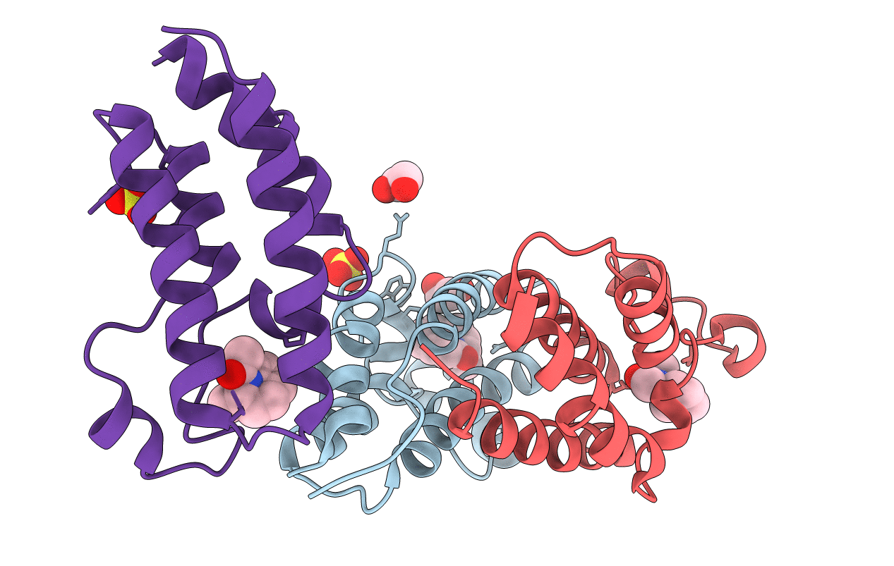 4A9H image