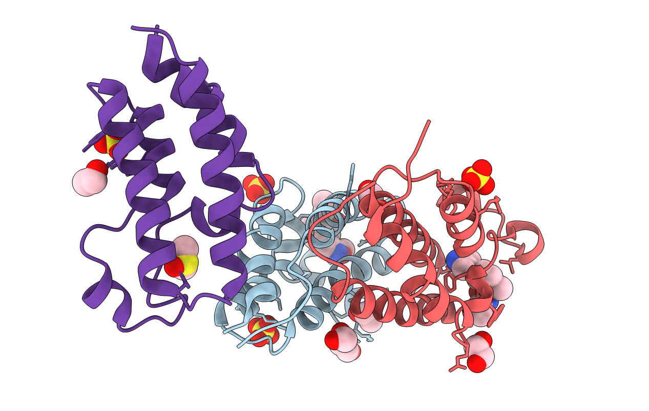 4A9N image