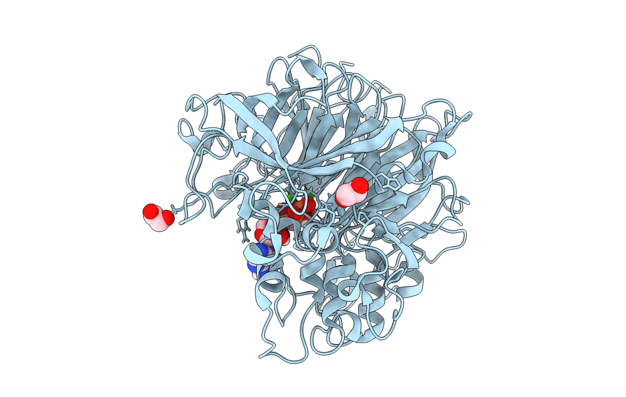 4A9X image