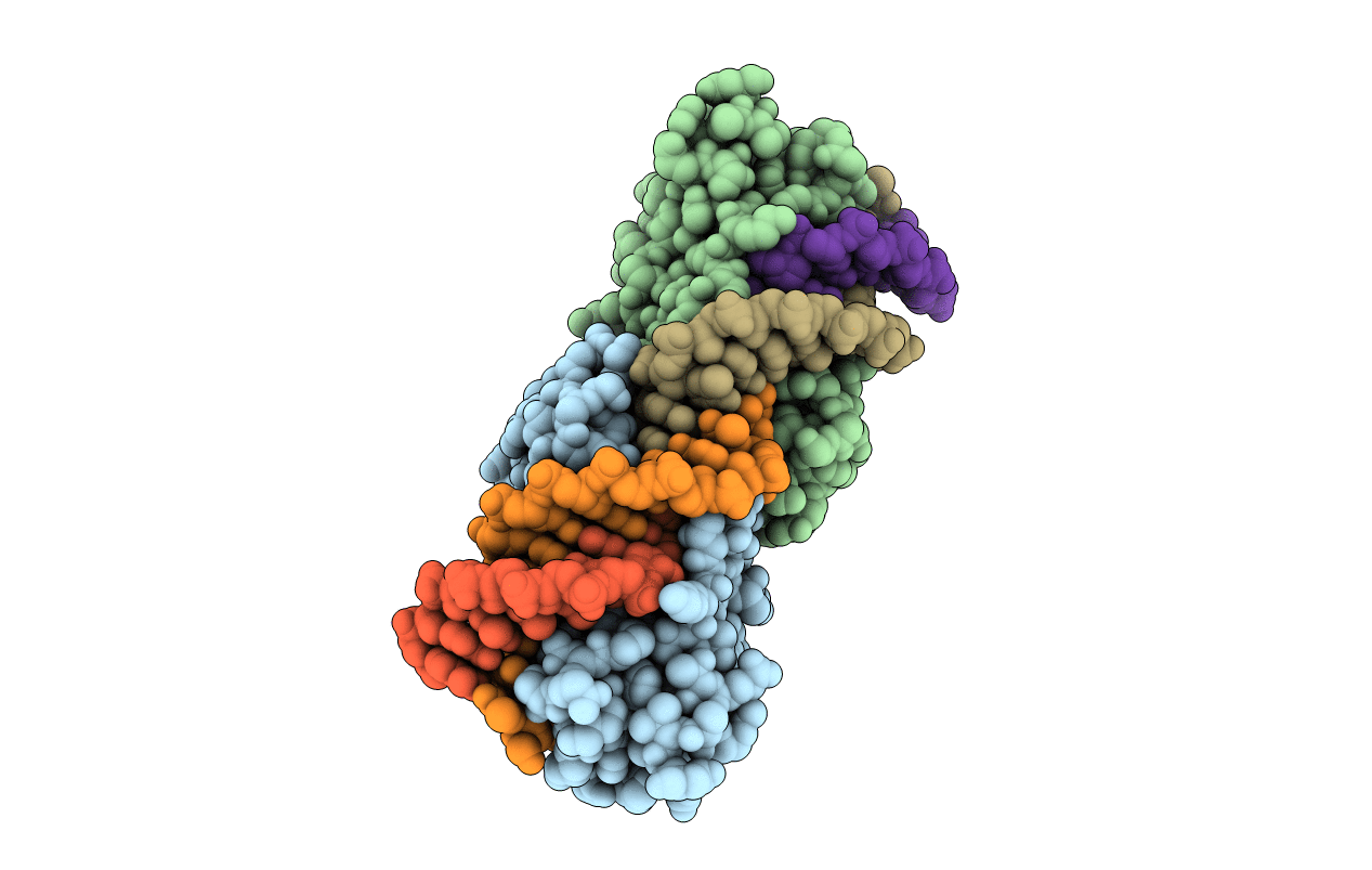 4AAB image