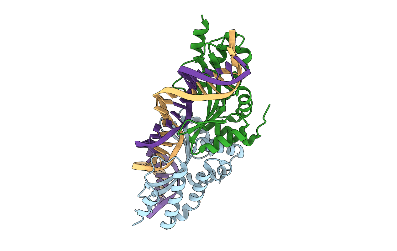 4AAE image