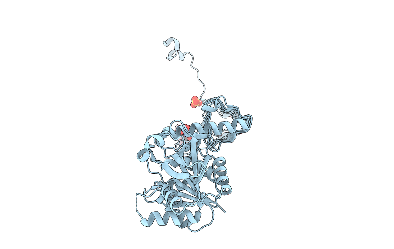 4AAW image