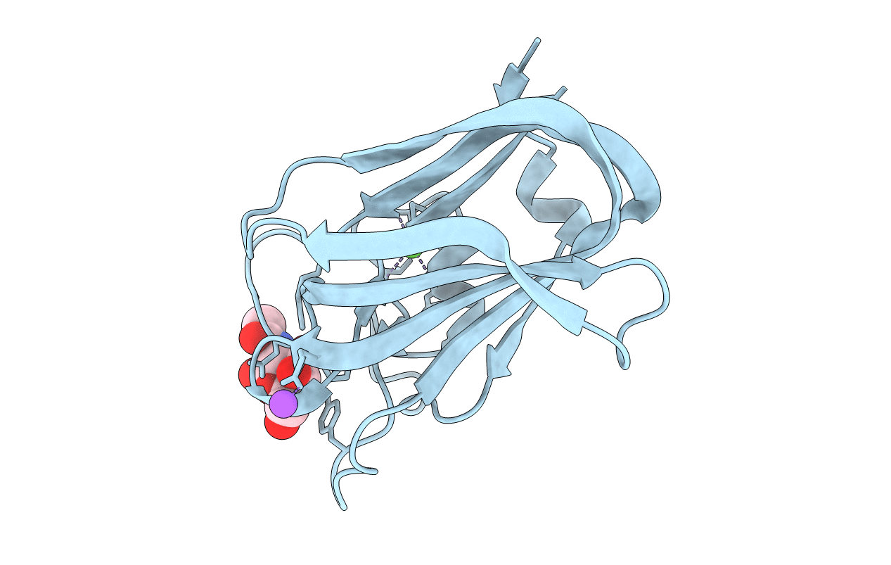 4AAX image