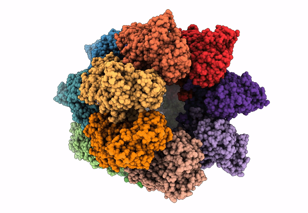 4AB2 image