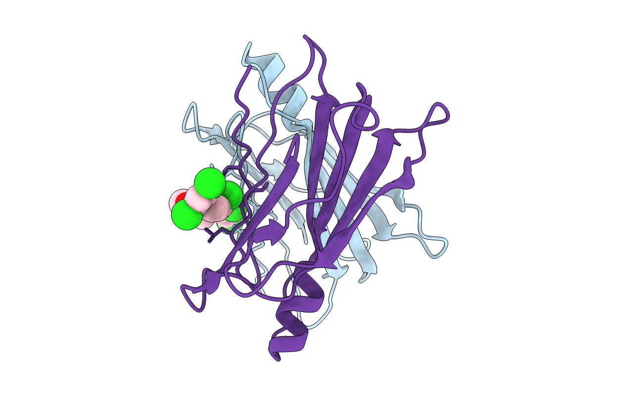 4AC2 image