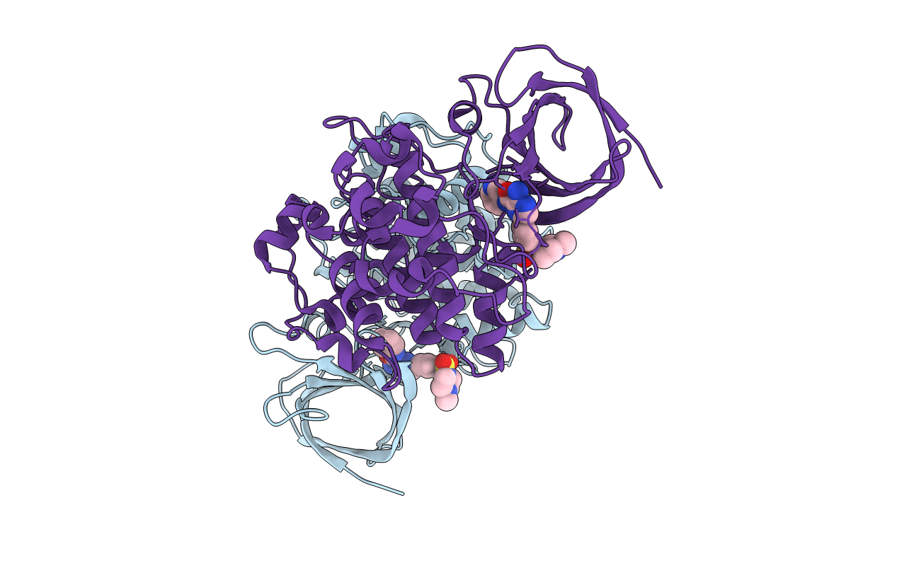 4ACD image