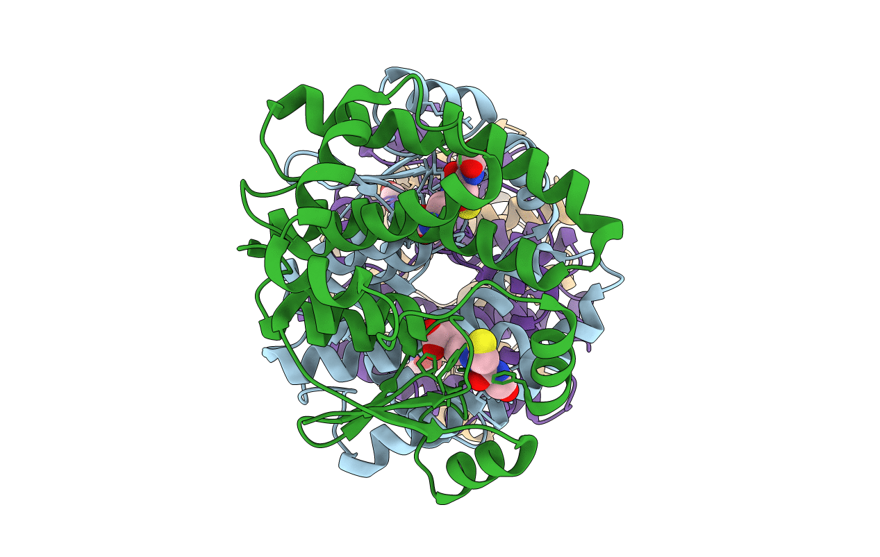 4ACS image