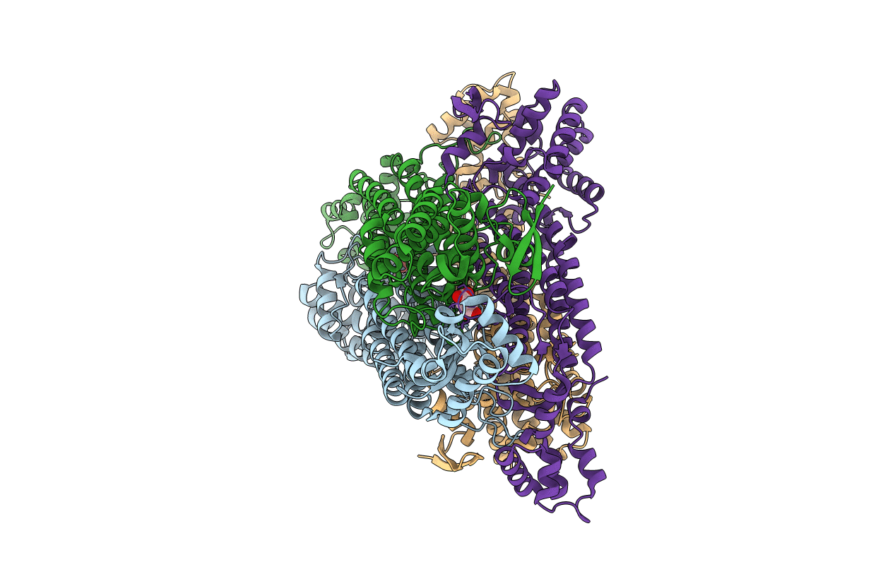 4ADL image