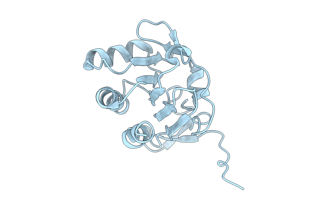 4AF2 image