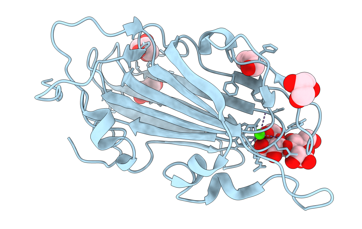 4AF9 image