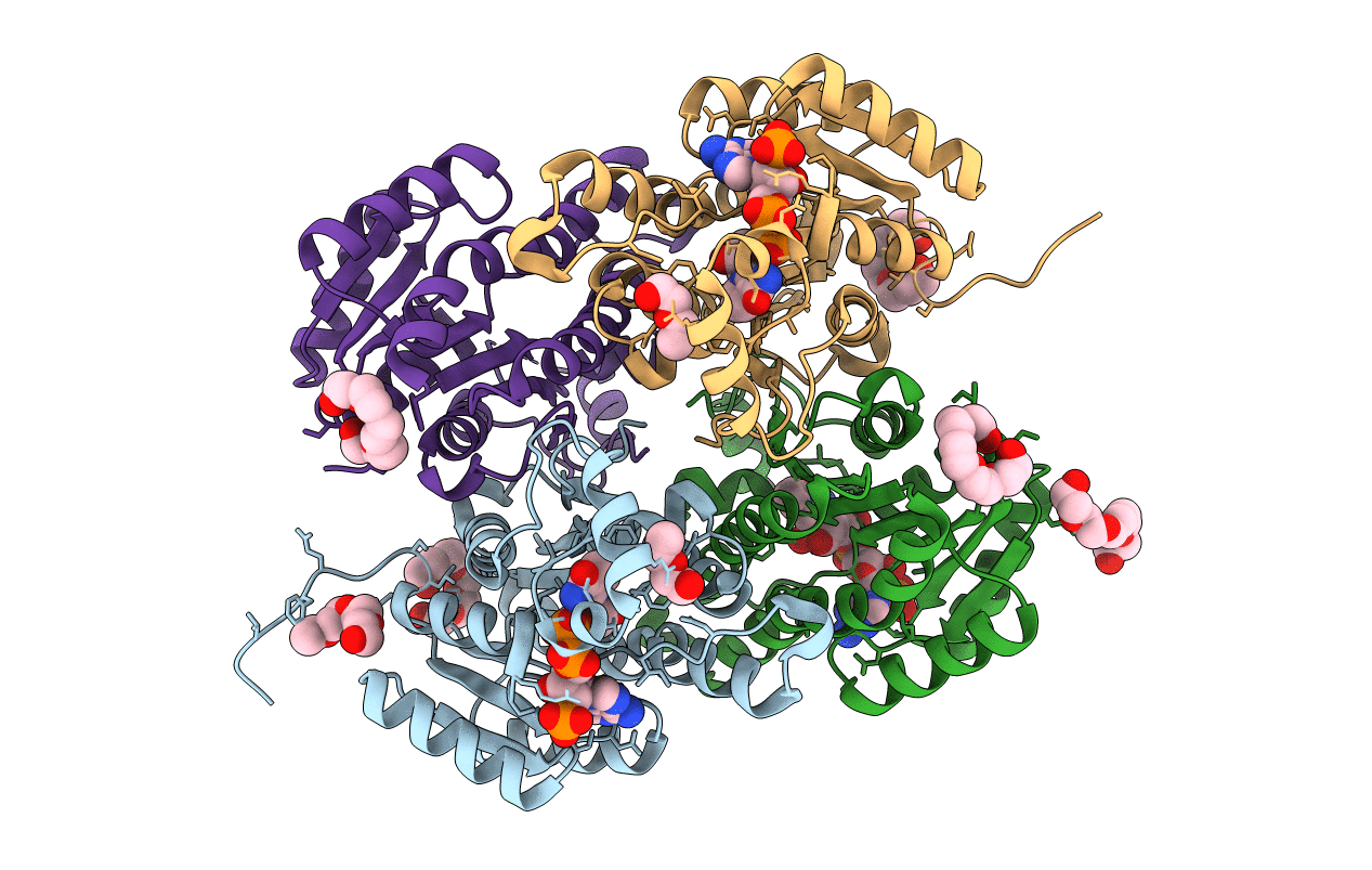 4AG3 image