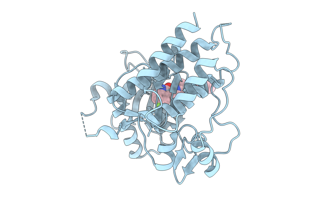 4AGD image