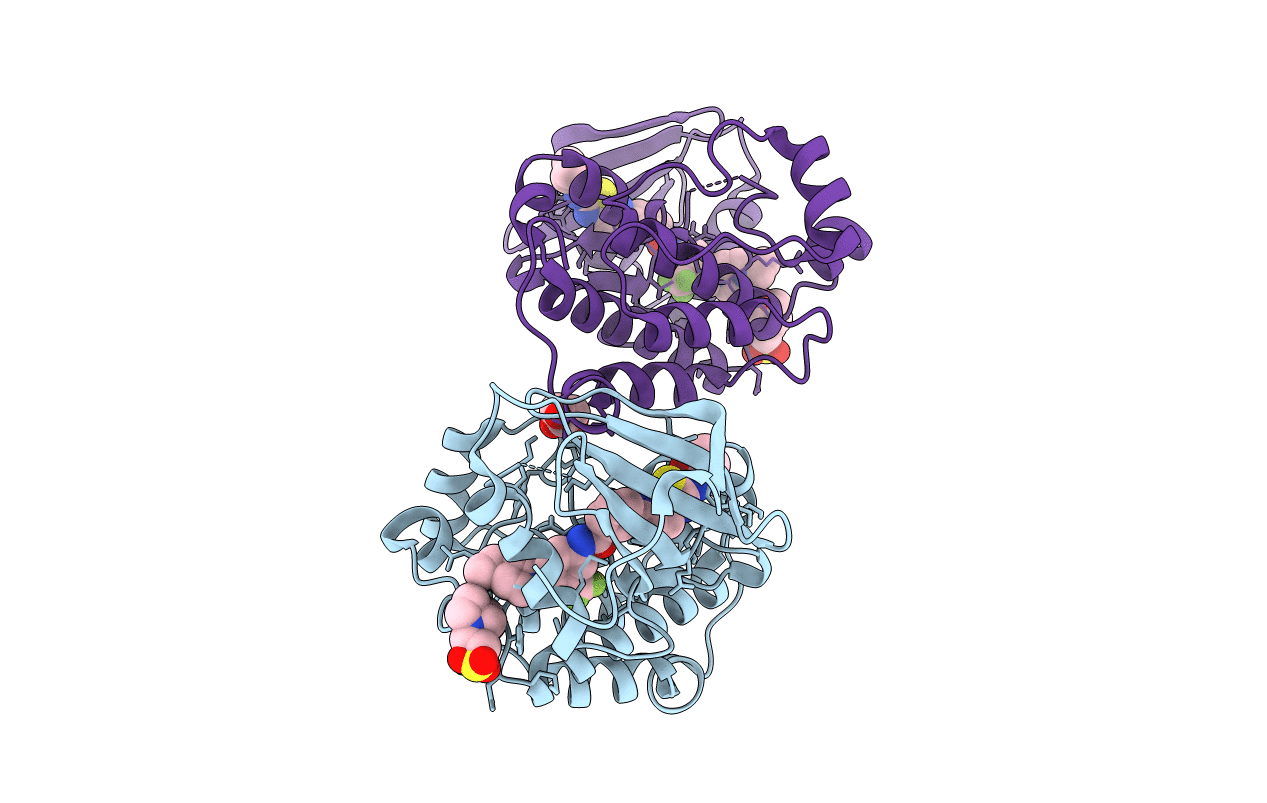 4AGW image
