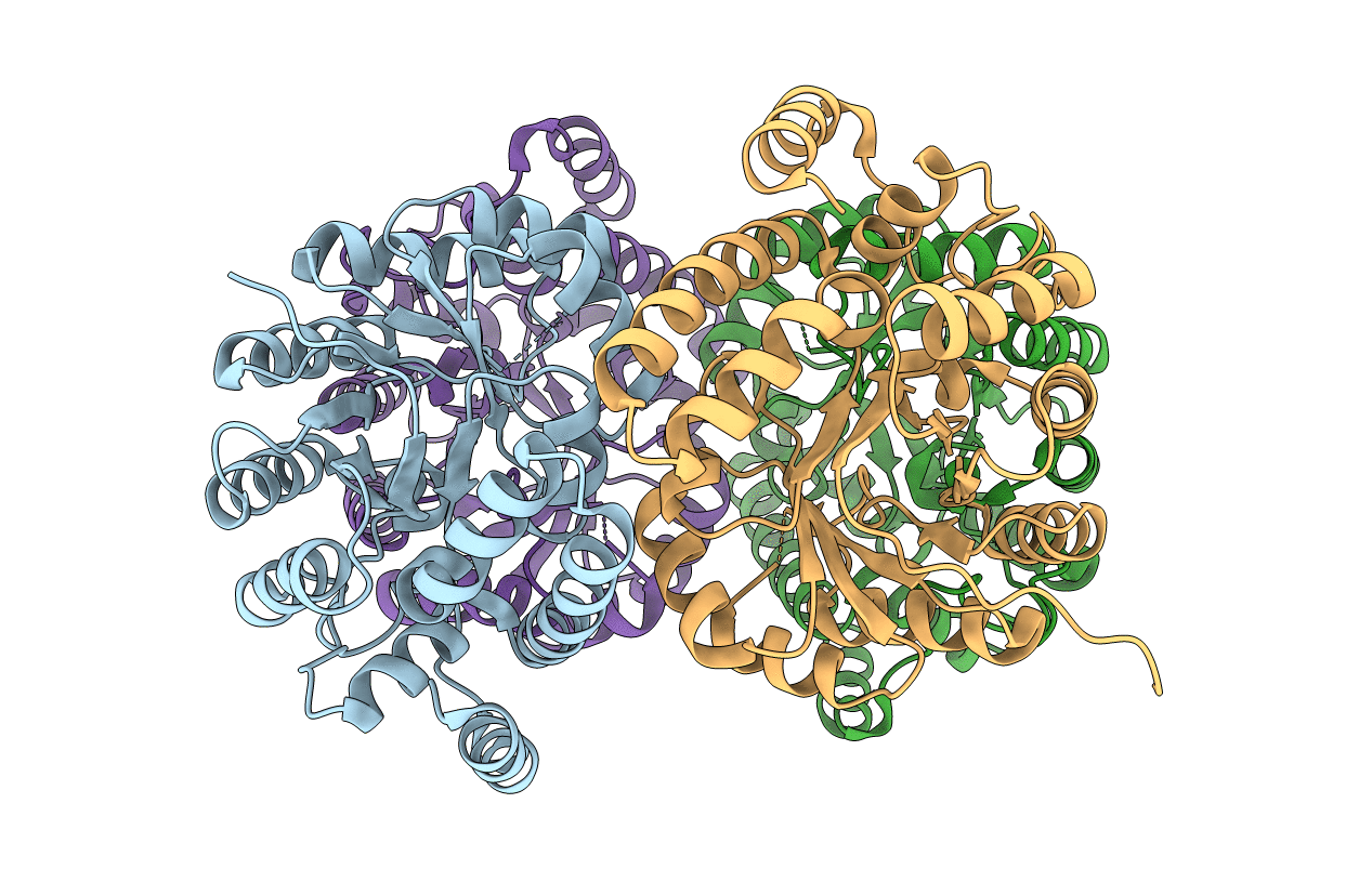 4AHP image