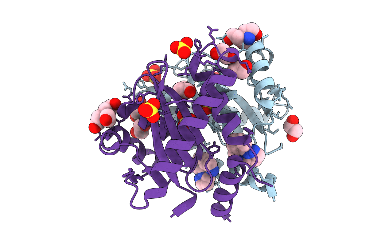 4AHV image