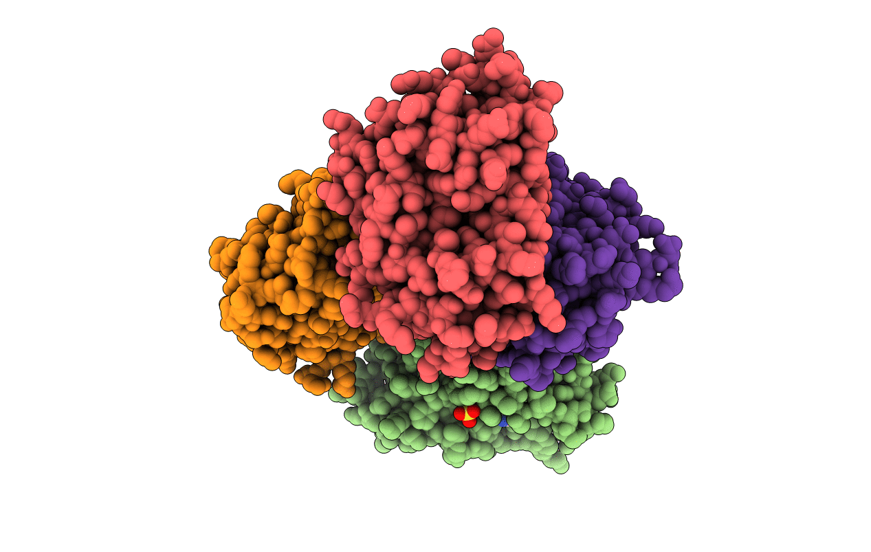 4AI5 image