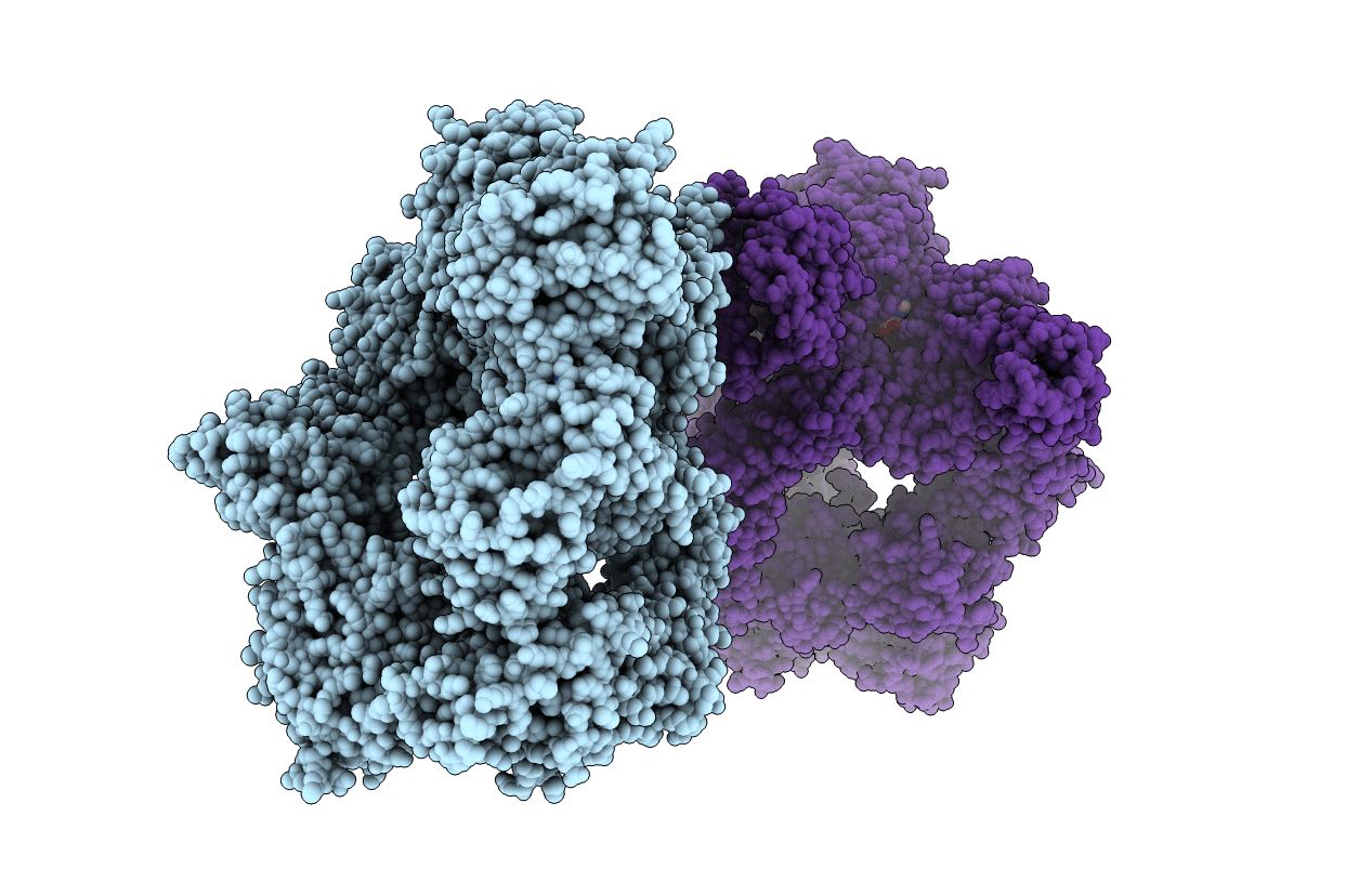 4AI6 image