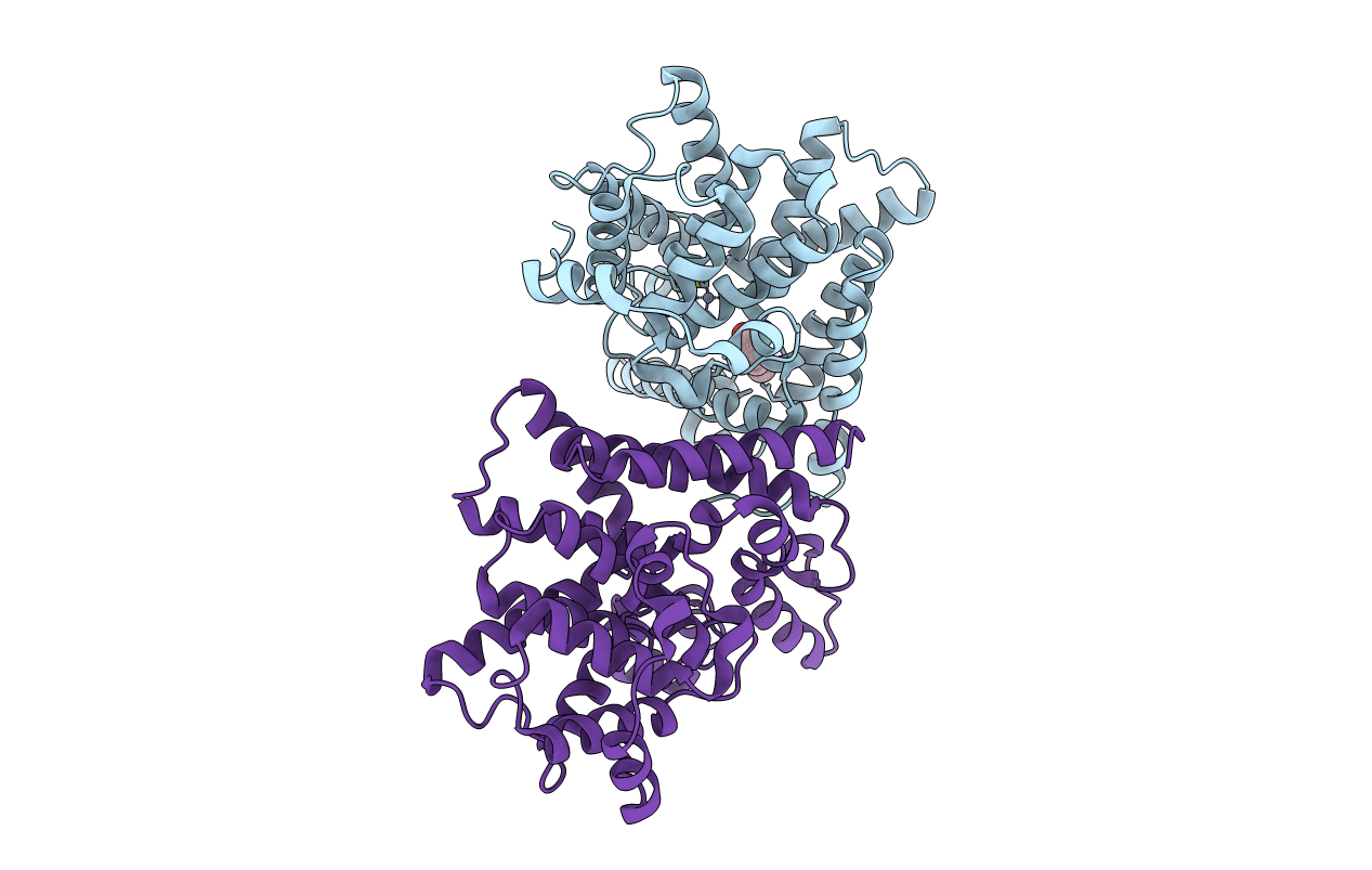 4AJF image