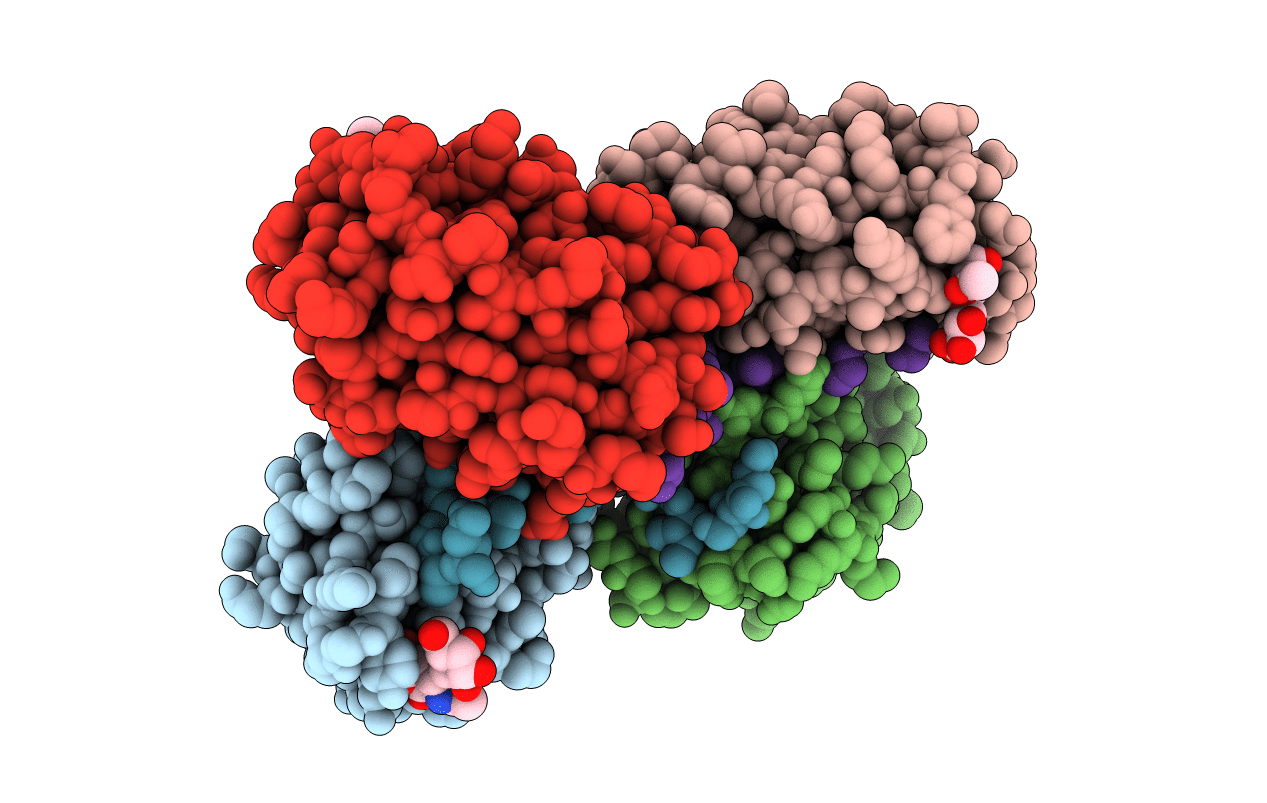 4AKC image
