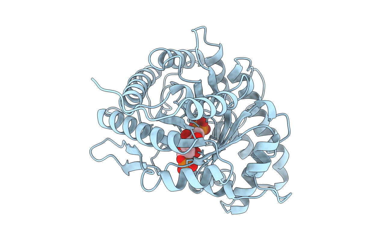 4ALD image