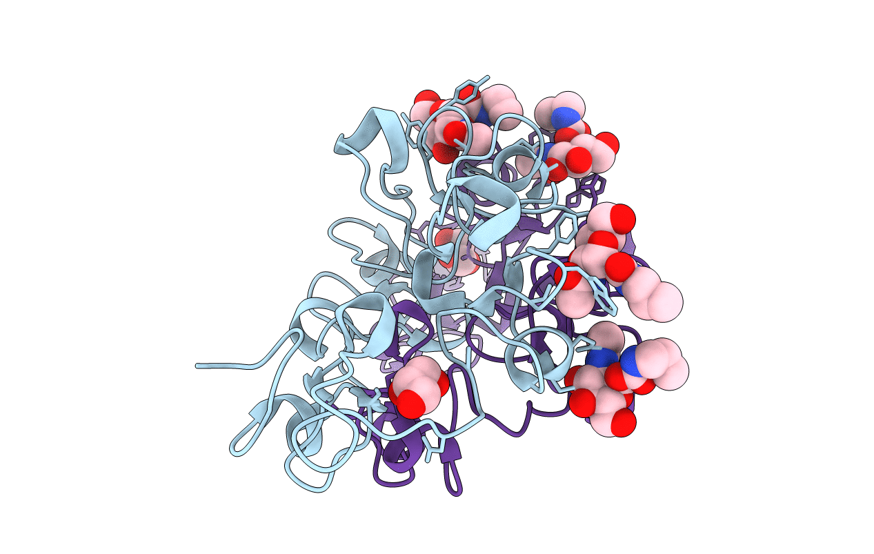 4AML image