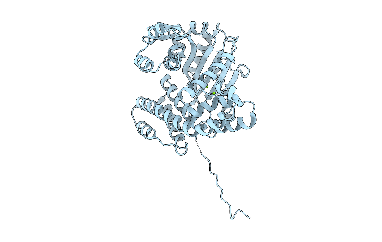 4AMS image