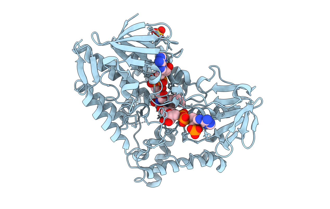 4AP1 image