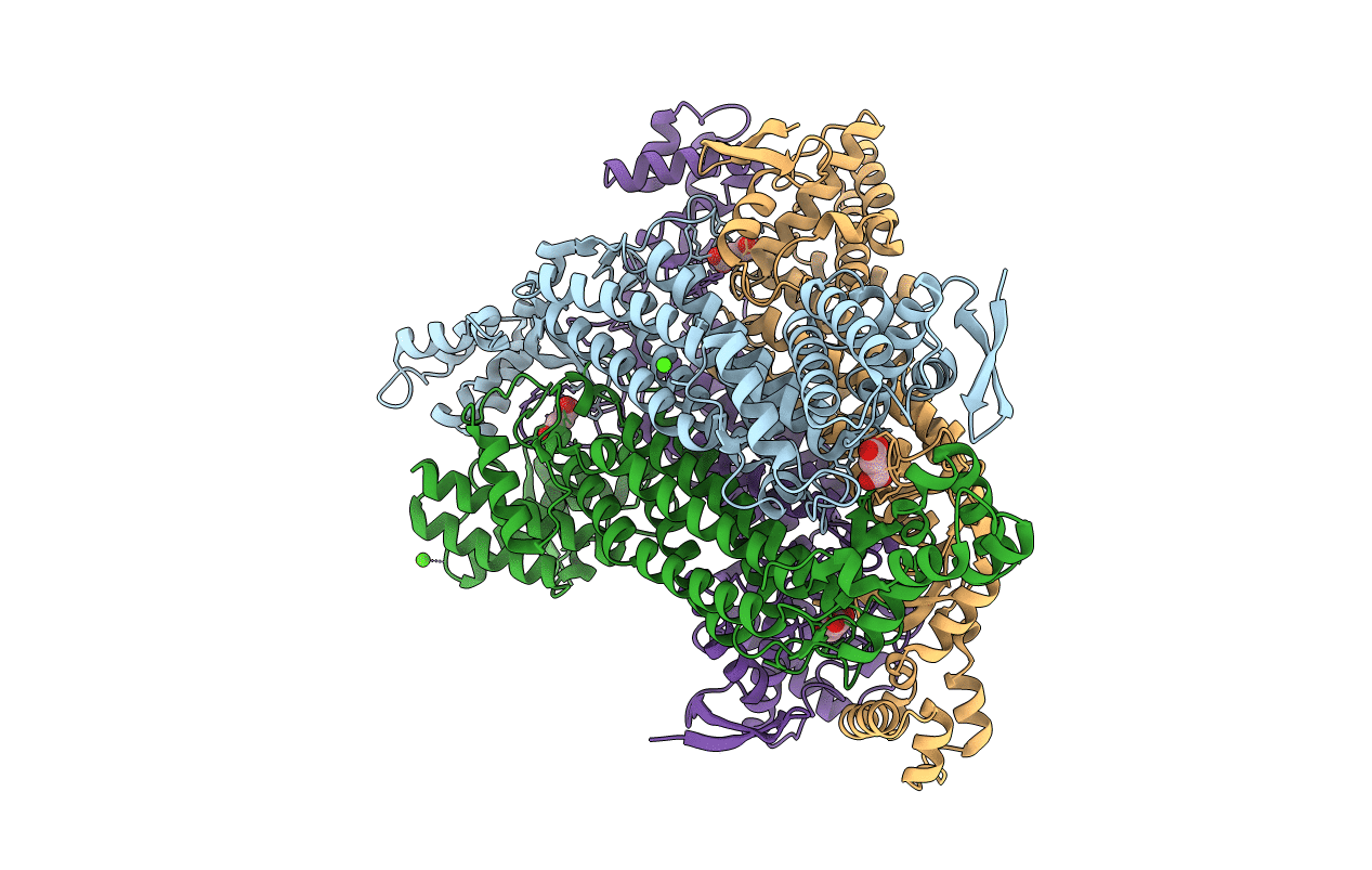4APB image