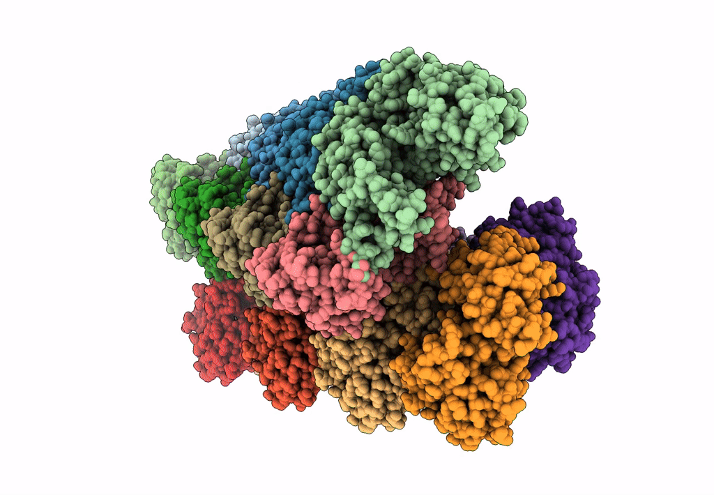 4APW image