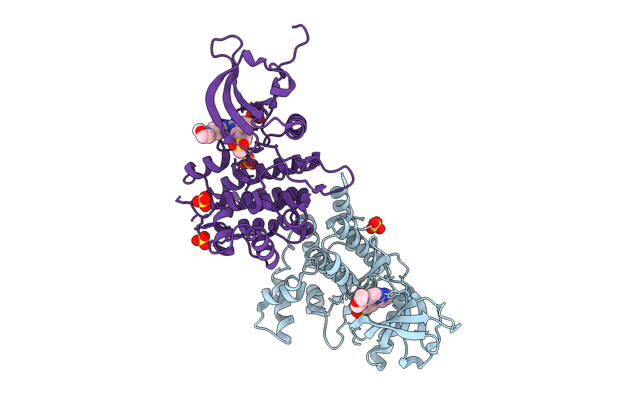 4AQC image