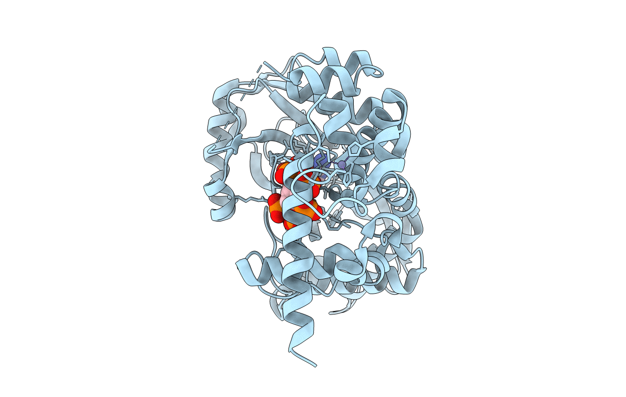 4AQK image