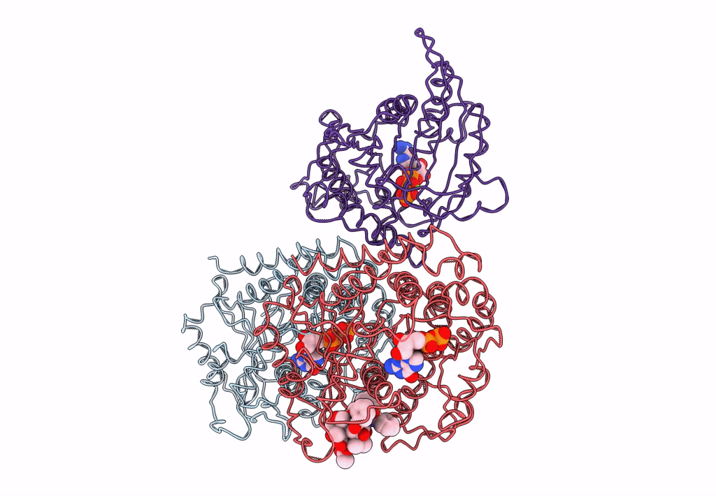 4AQV image