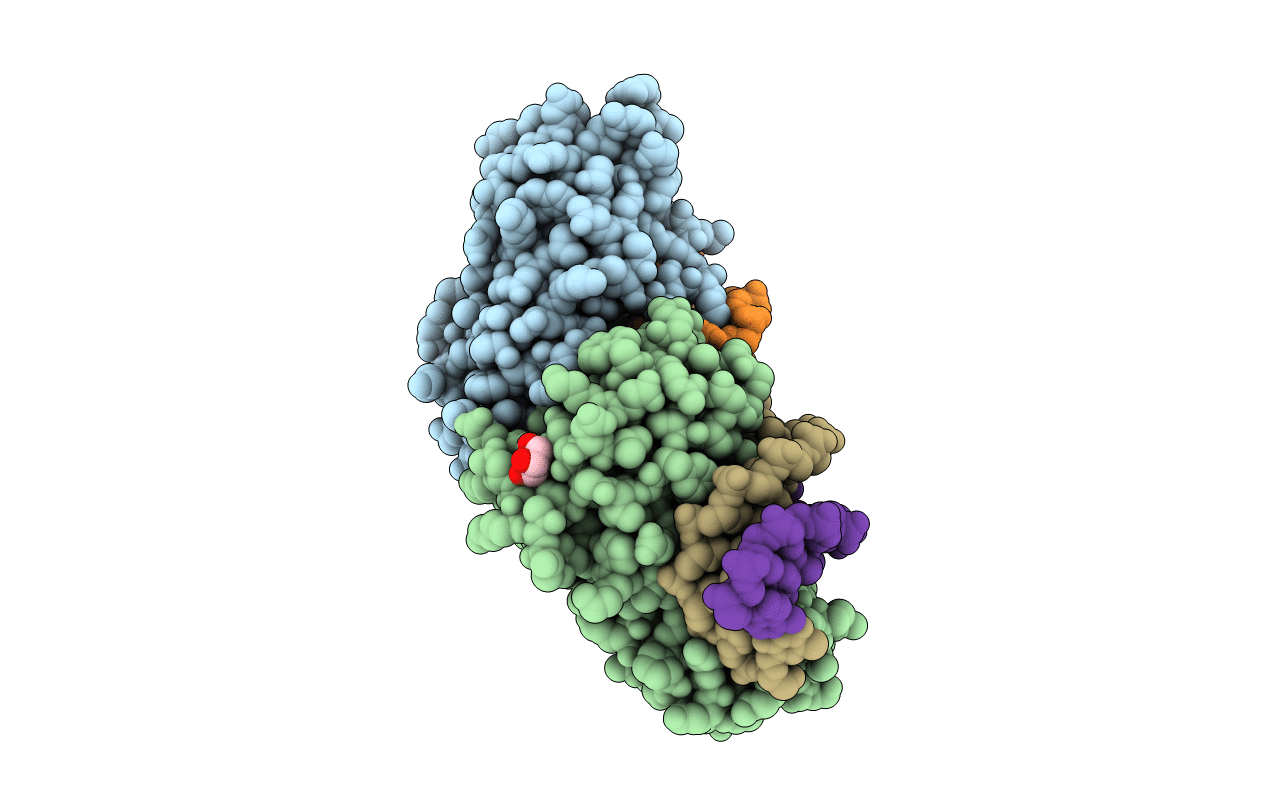 4AQX image