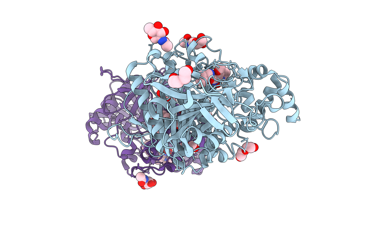 4ARB image