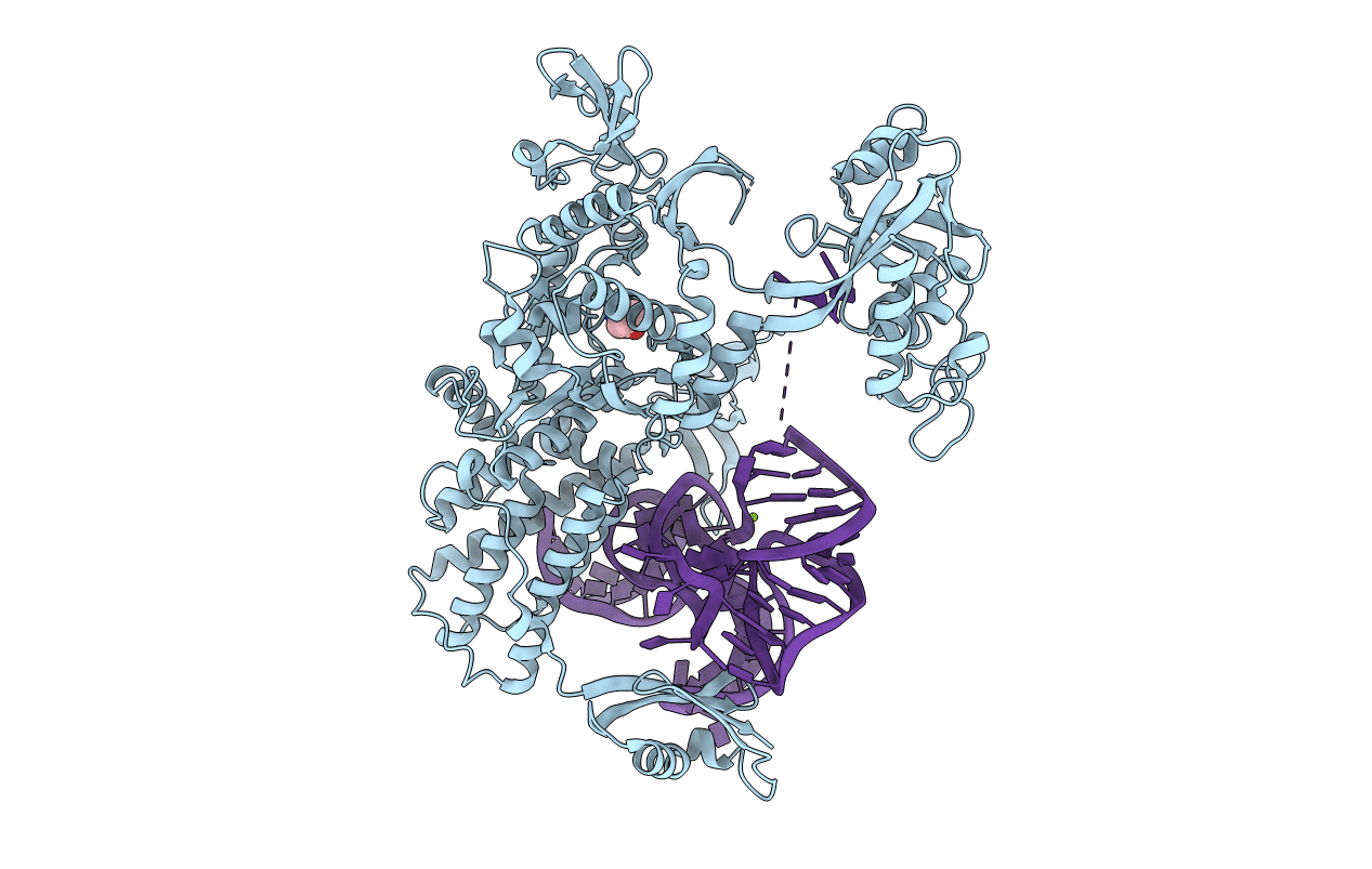4ARC image