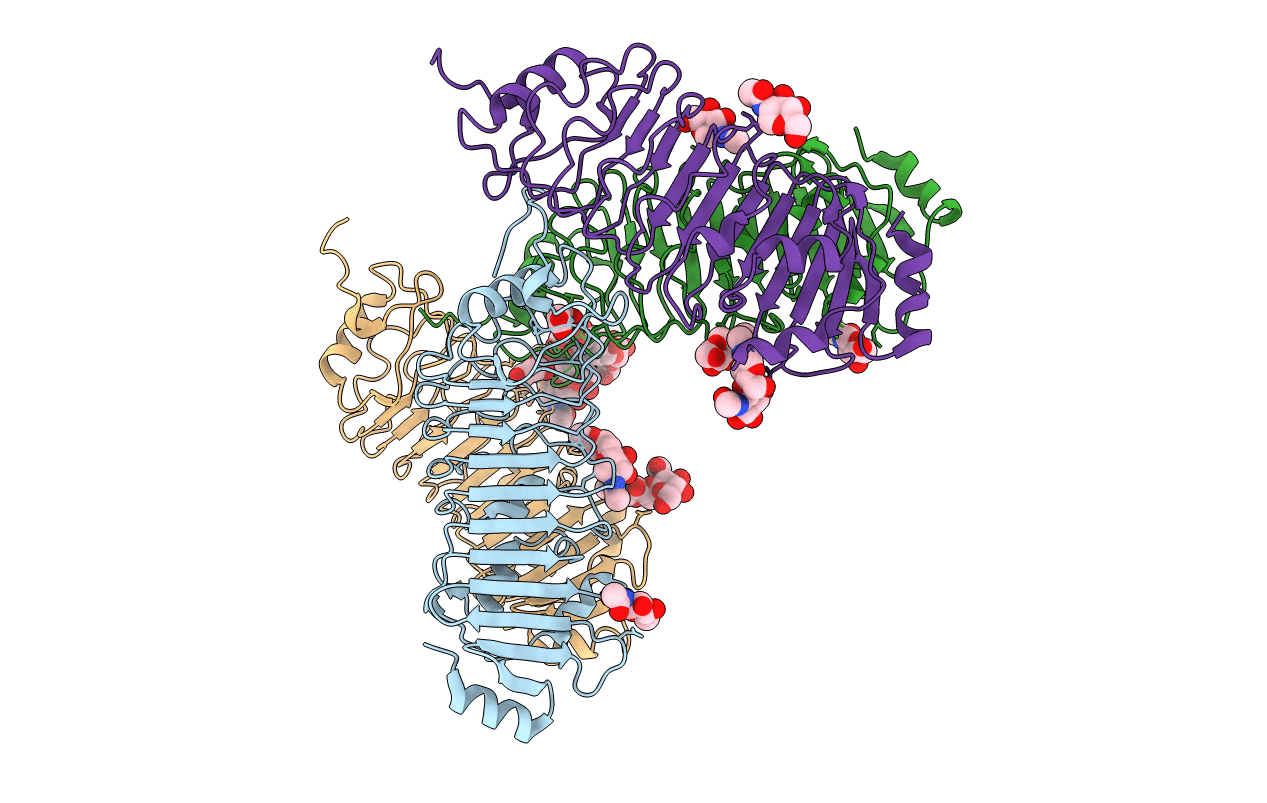 4ARN image